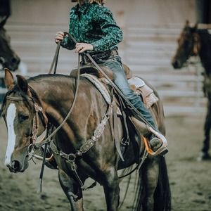 Meet your Posher, Carol